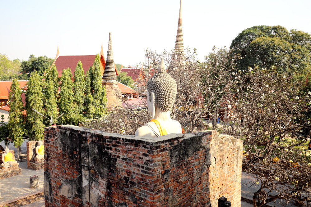 Datum: 06.02.2016 Lokation: Phranakhon Si Ayutthaya, Ban Thanon Tan, Pak Hai