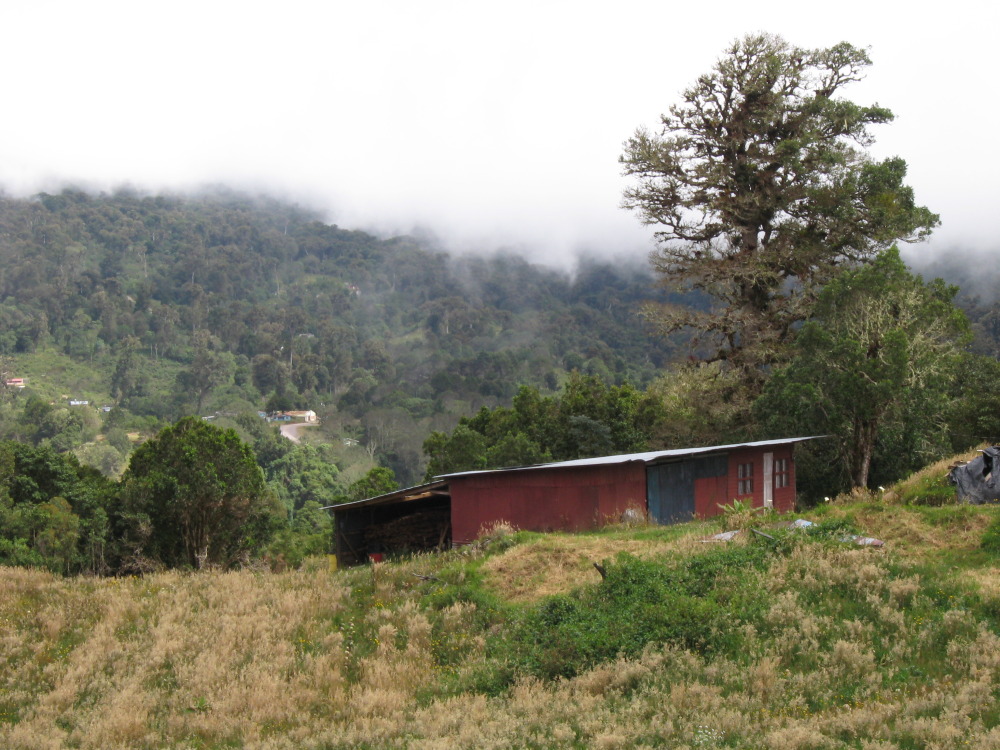 Lokation: Costa Rica | Cartago | Paso Macho | Kategorien: Berge, Datum: 27.01.2010