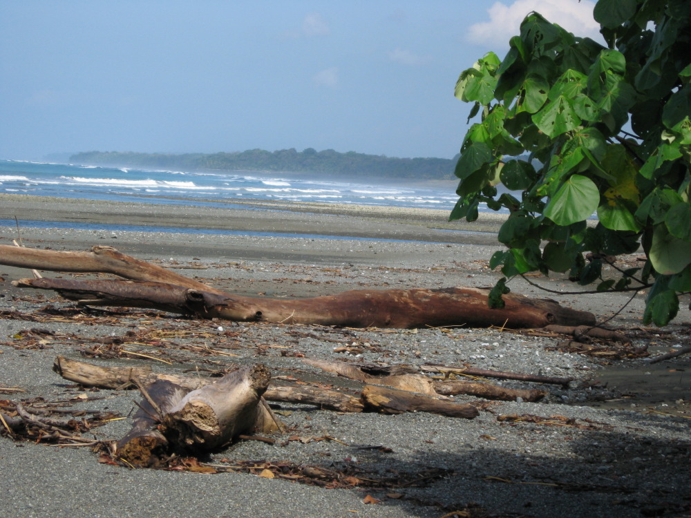 Lokation: Costa Rica | Puntarenas | Sirena | Kategorien: Strand, Datum: 30.01.2010