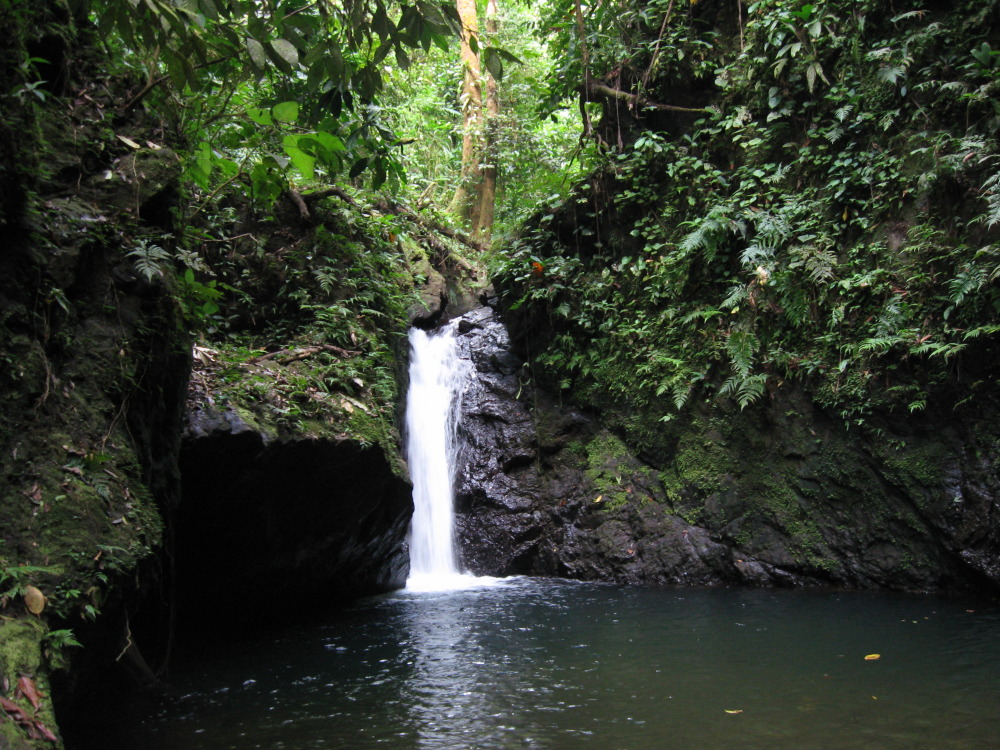 Lokation: Costa Rica | Puntarenas | Sirena | Kategorien: Wasserfall, Datum: 01.02.2010