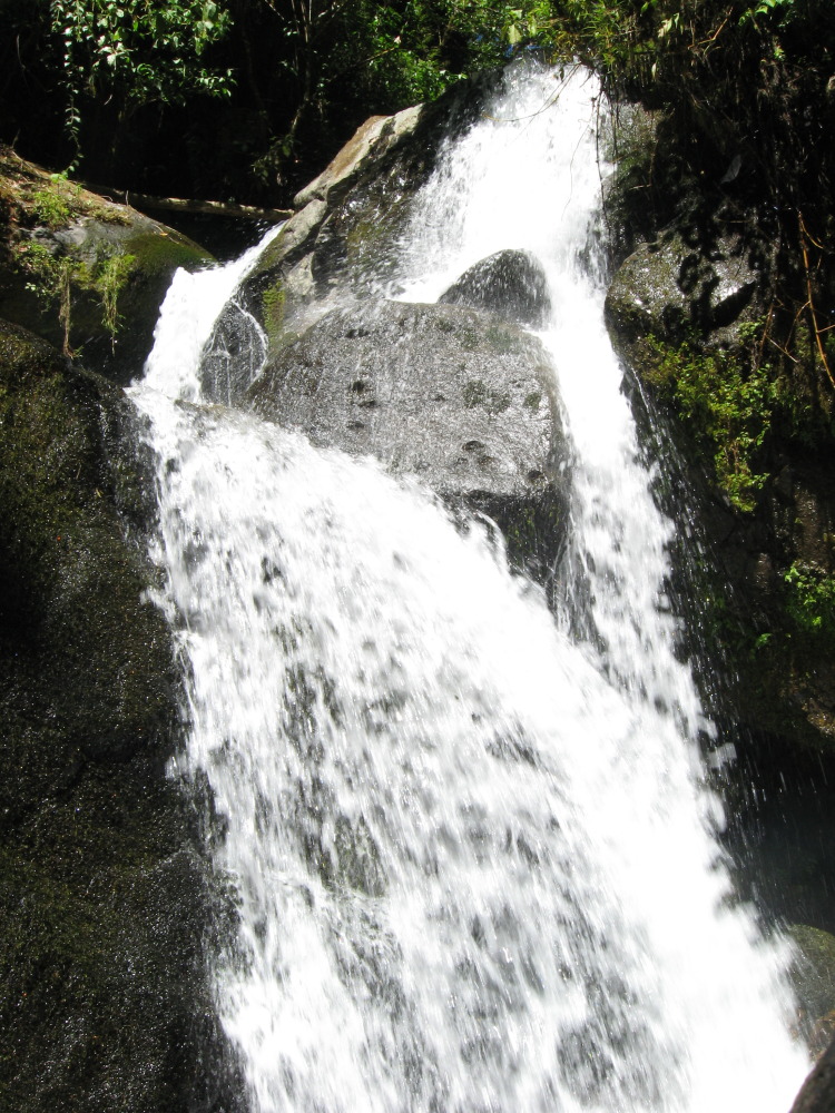 Lokation: Costa Rica | Cartago | Ojo de Agua | Kategorien: Wasserfall, Datum: 03.02.2010