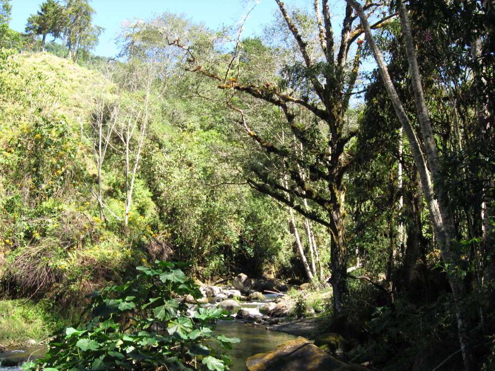 Lokation: Costa Rica | San José | Providencia | Kategorien: Fluss, Datum: 04.02.2010