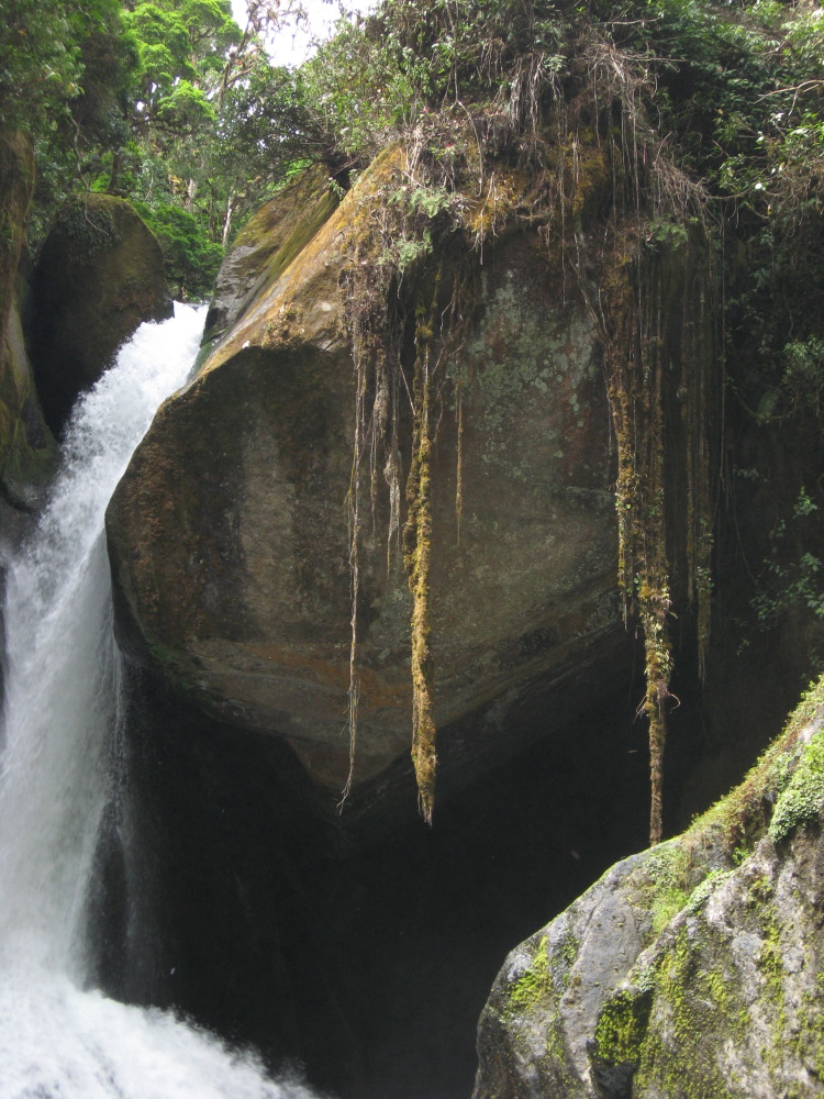 Lokation: Costa Rica | San José | Providencia | Kategorien: Wasserfall, Datum: 04.02.2010