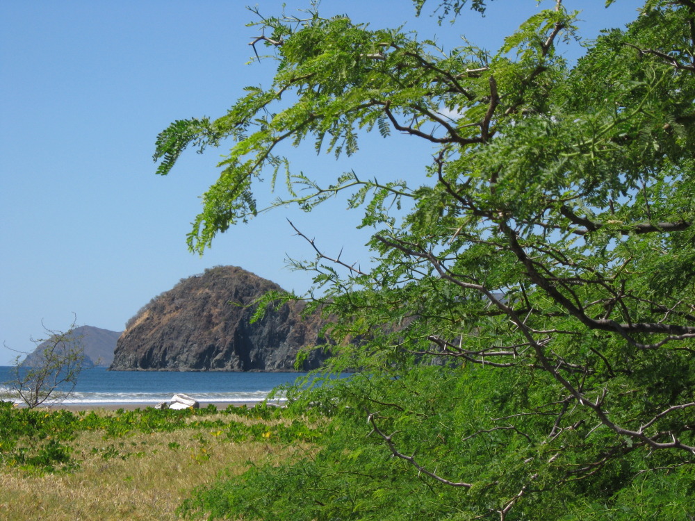 Lokation: Costa Rica | Guanacaste | Guanacaste | Kategorien: Strand, Datum: 07.02.2010