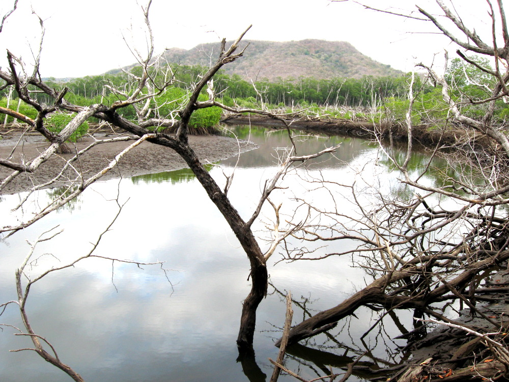 Lokation: Costa Rica | Guanacaste | Guanacaste | Kategorien: Fluss, Datum: 08.02.2010