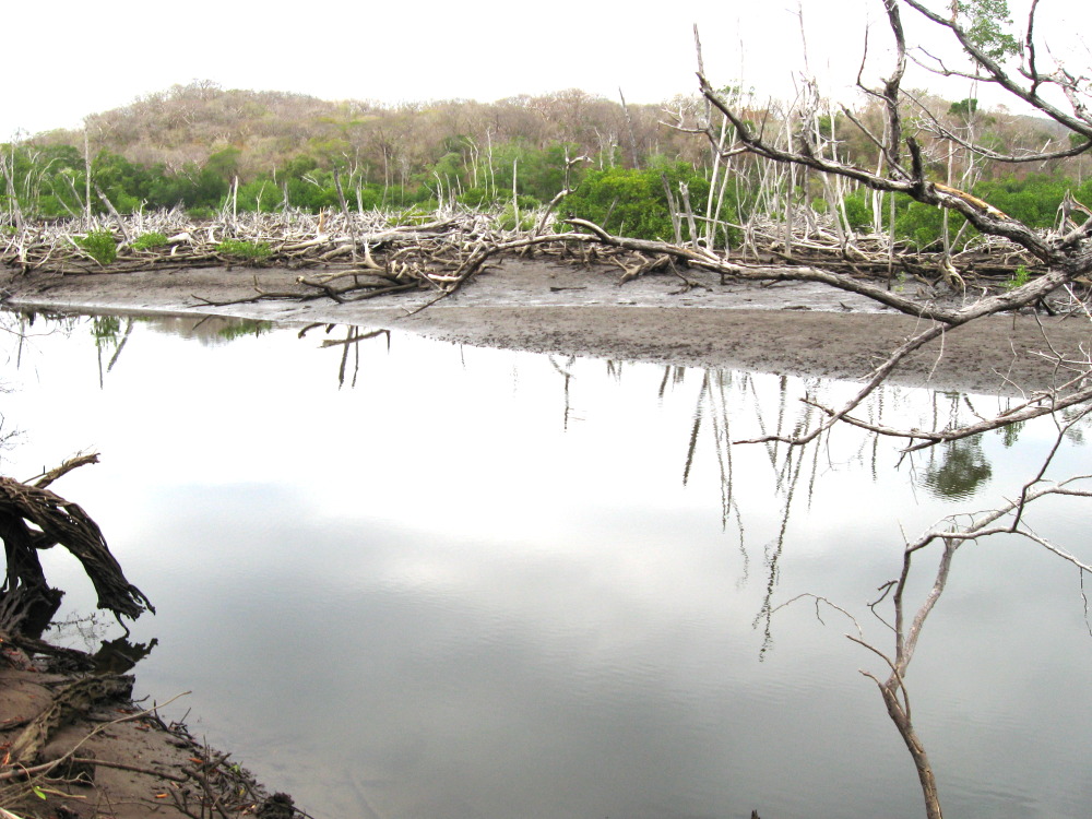 Lokation: Costa Rica | Guanacaste | Guanacaste | Kategorien: Fluss, Datum: 08.02.2010