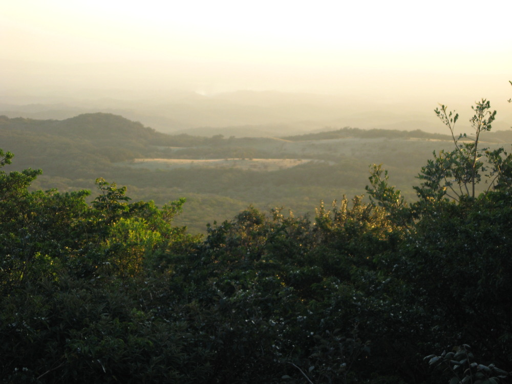 Lokation: Costa Rica | Guanacaste | Tanques | Kategorien: Berge, Datum: 10.02.2010