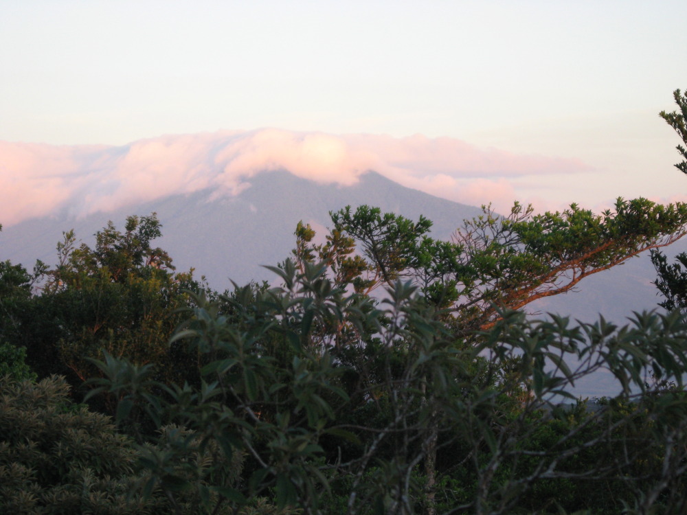 Lokation: Costa Rica | Guanacaste | Tanques | Kategorien: Berge, Datum: 10.02.2010