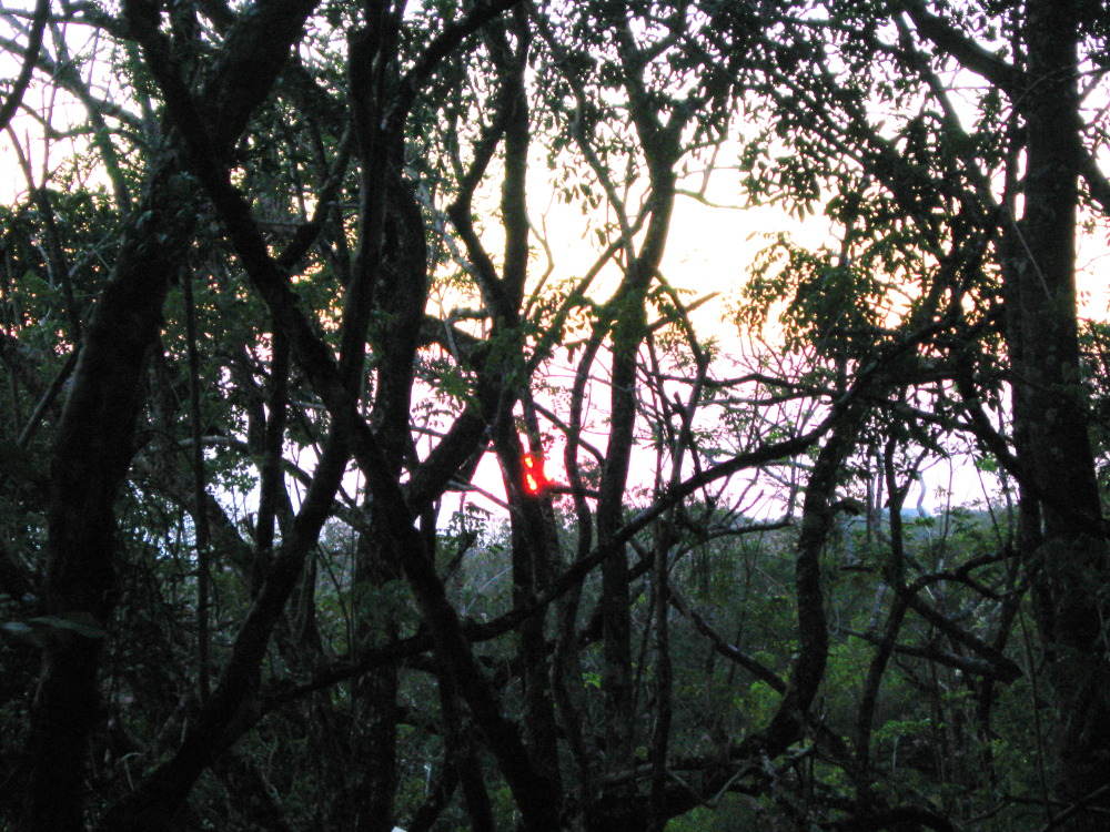 Lokation: Costa Rica | Guanacaste | Tanques | Kategorien: Sonnenauf-,untergang, Datum: 10.02.2010