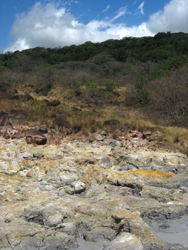 Lokation: Costa Rica | Guanacaste | Tanques | Kategorien: Geologie, Datum: 11.02.2010