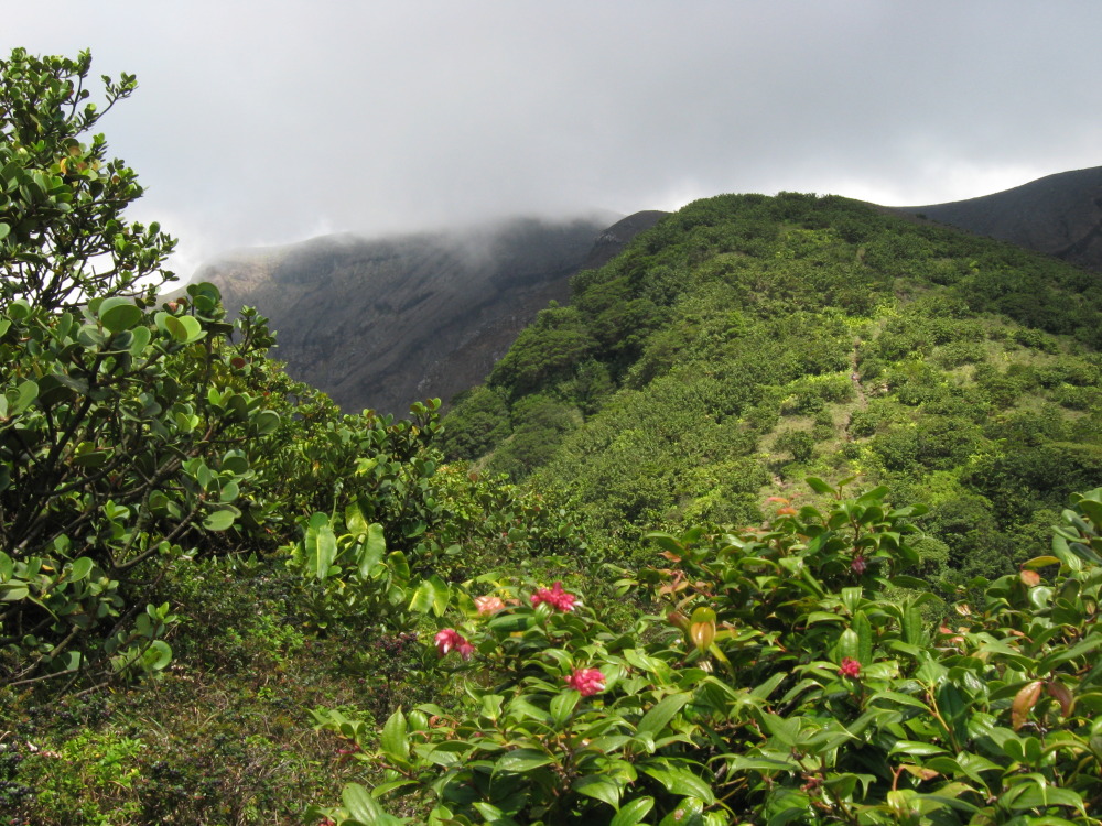 Lokation: Costa Rica | Guanacaste | Hacienda Santa María | Kategorien: Vegetation, Berge, Datum: 13.02.2010