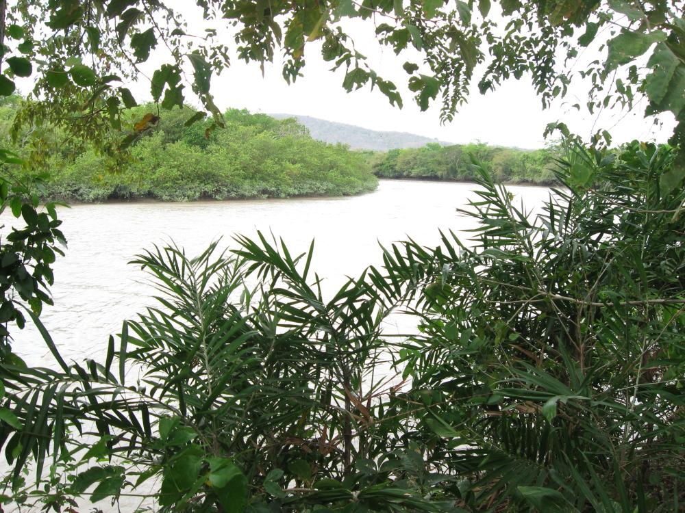 Lokation: Costa Rica | Guanacaste | Palo Verde | Kategorien: Fluss, Datum: 14.02.2010