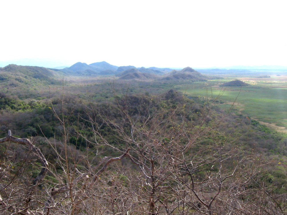 Lokation: Costa Rica | Guanacaste | Palo Verde | Kategorien: Landschaft, Datum: 15.02.2010