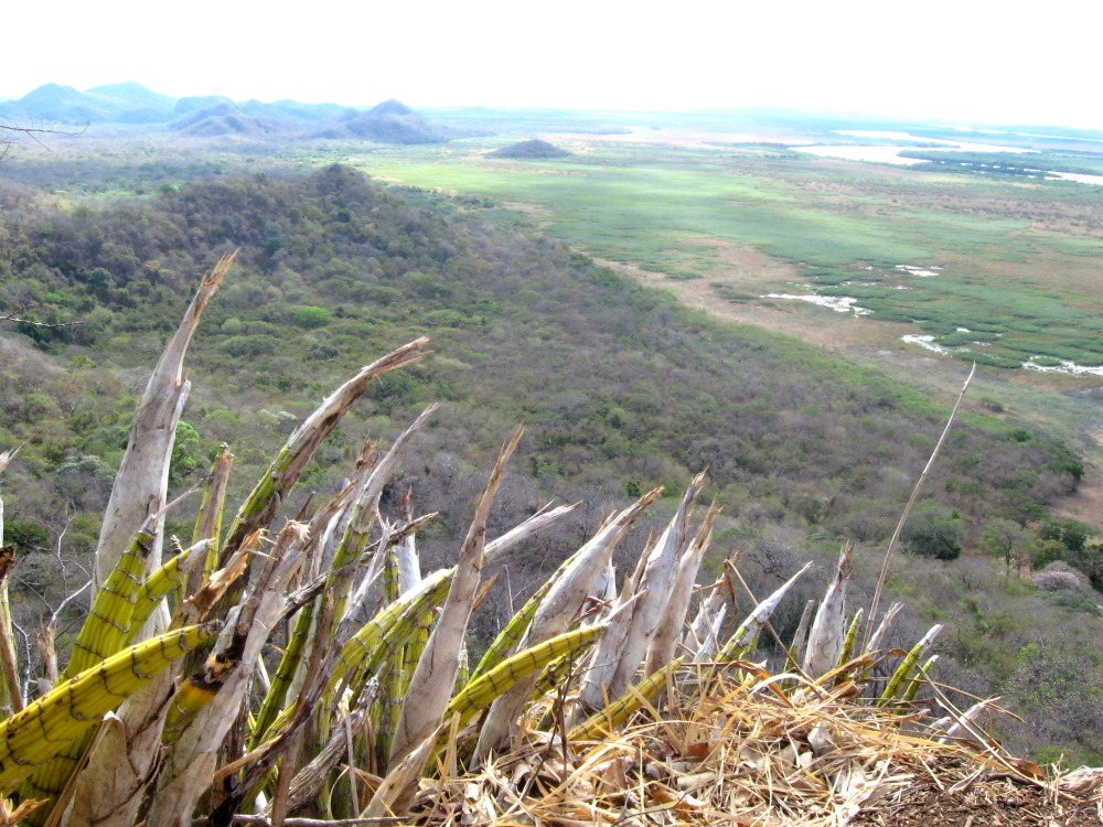 Lokation: Costa Rica | Guanacaste | Palo Verde | Kategorien: Landschaft, Datum: 15.02.2010