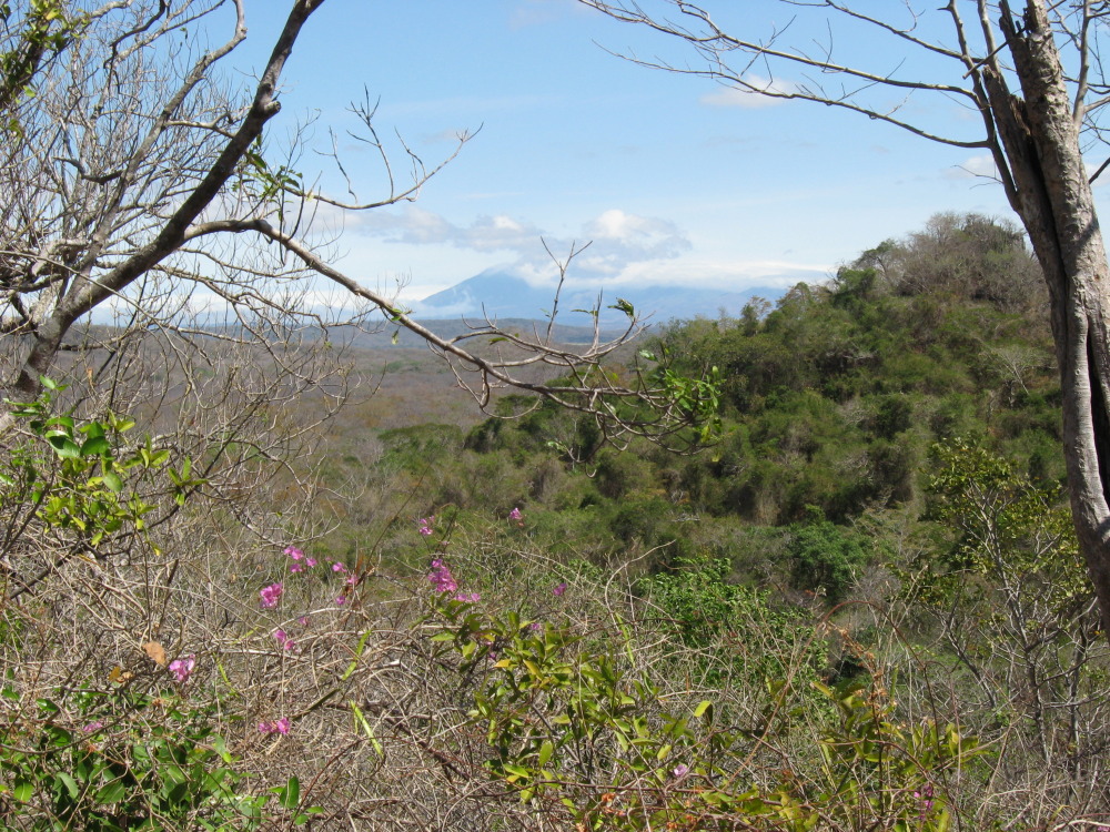 Lokation: Palo Verde, Guanacaste, Costa Rica, Kategorien: Landschaft, Datum: 15.02.2010