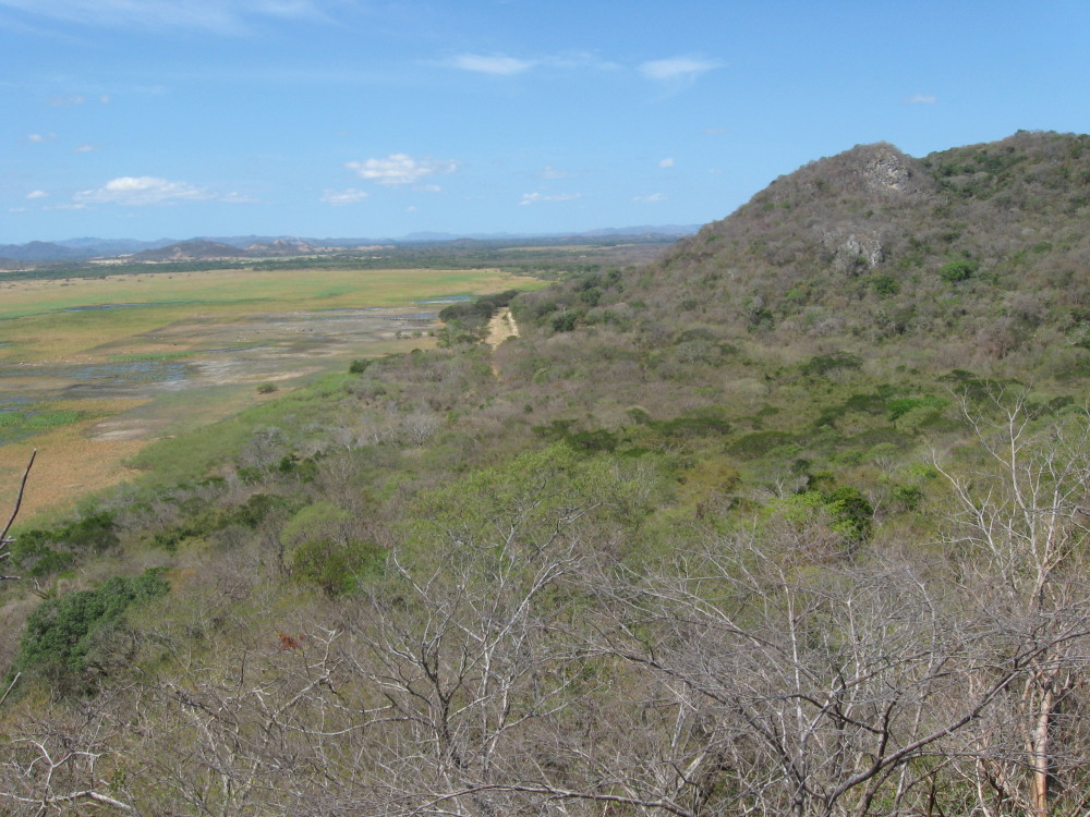 Lokation: Palo Verde, Guanacaste, Costa Rica, Kategorien: Landschaft, Datum: 15.02.2010