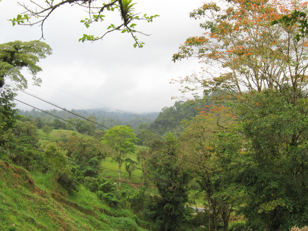 Lokation: Costa Rica | Alajuela | Cariblanco | Kategorien: Landschaft, Datum: 16.02.2010