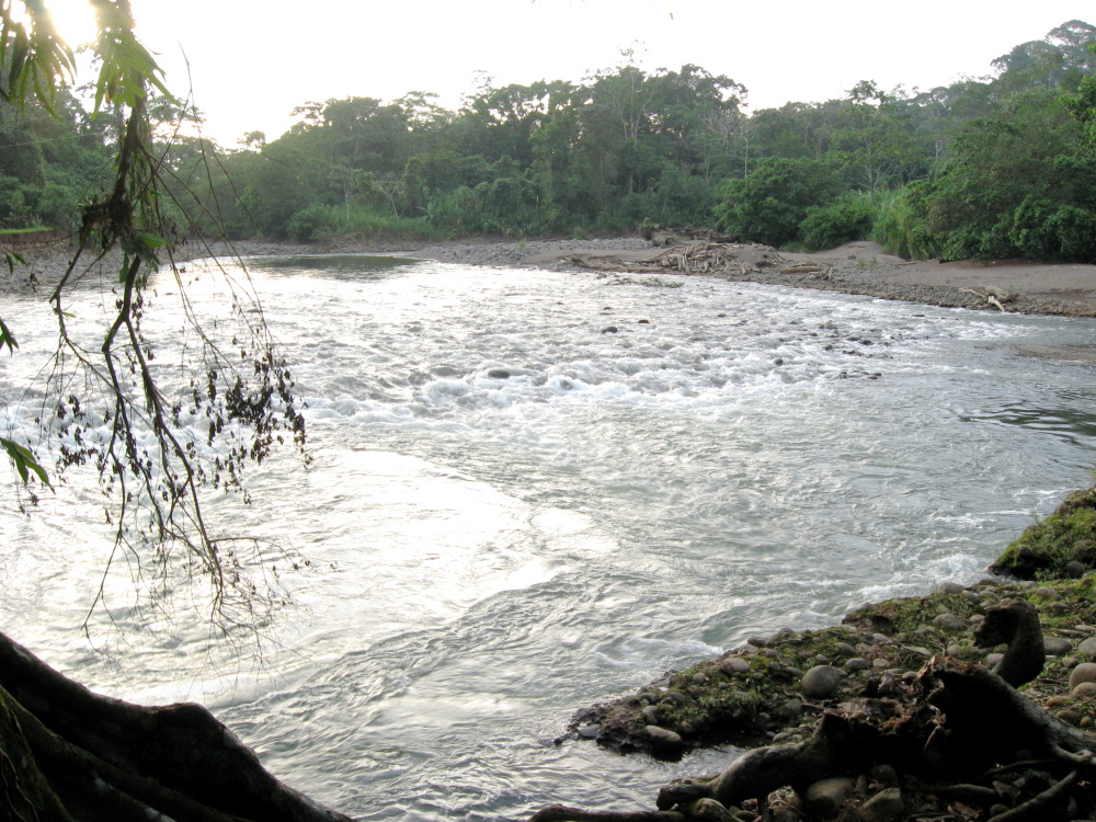 Lokation: Costa Rica | Heredia | Chilamate | Kategorien: Fluss, Datum: 16.02.2010