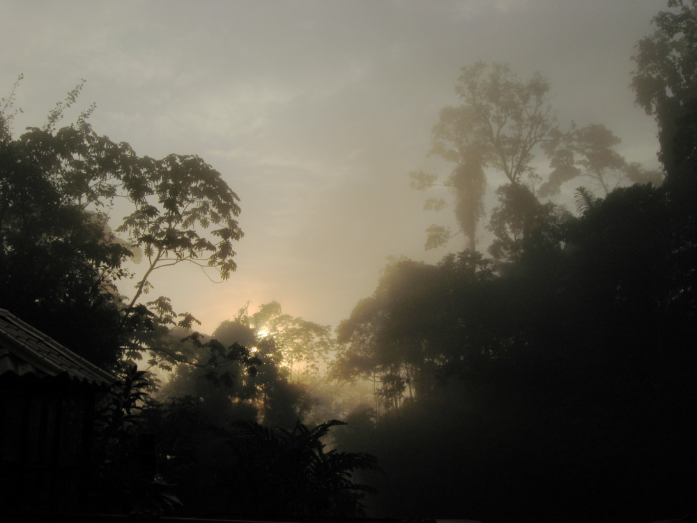 Lokation: Costa Rica | San José | Carrillo | Kategorien: Nebel, Datum: 17.02.2010