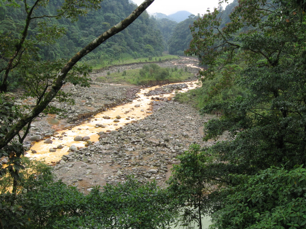 Lokation: Costa Rica | San José | Carrillo | Kategorien: Fluss, Datum: 17.02.2010