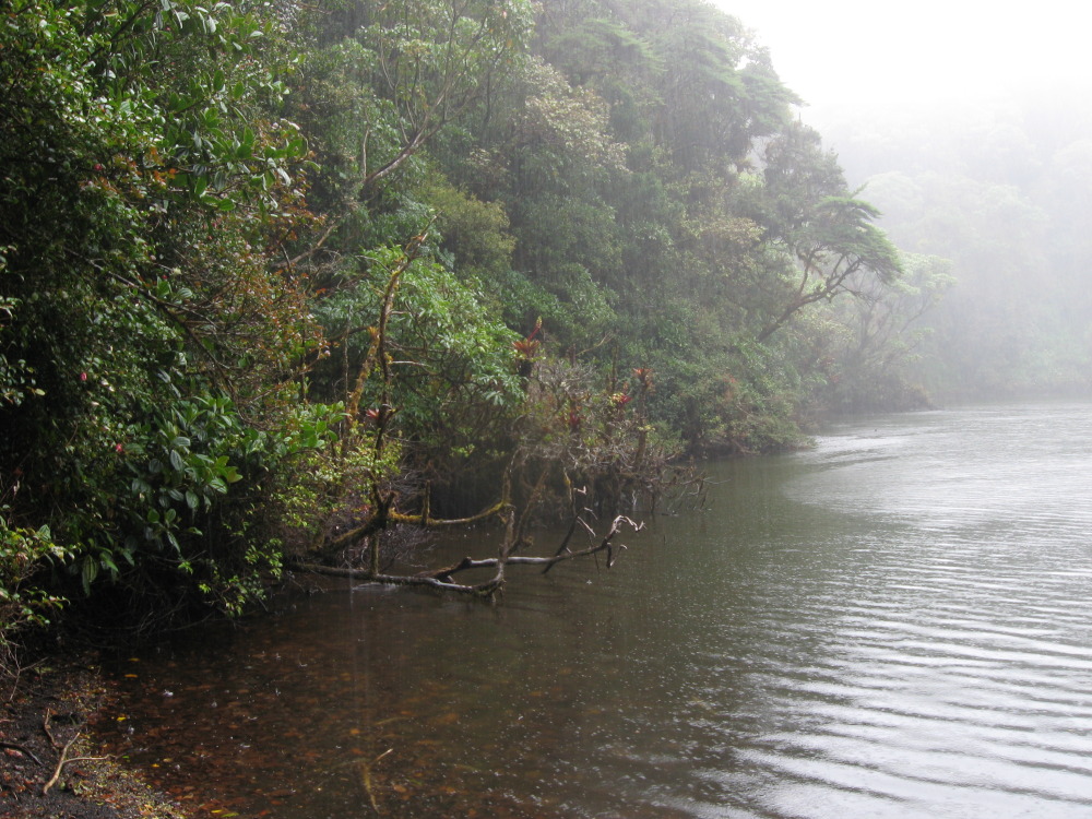 Lokation: Porrosatí, Heredia, Costa Rica, Kategorien: See, Datum: 17.02.2010