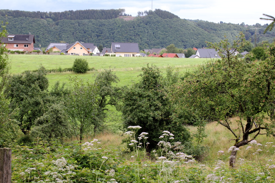 Lokation: Deutschland | Nordrhein-Westfalen | Windeck | Roth Kategorien: Haus, Datum: 17.07.2011