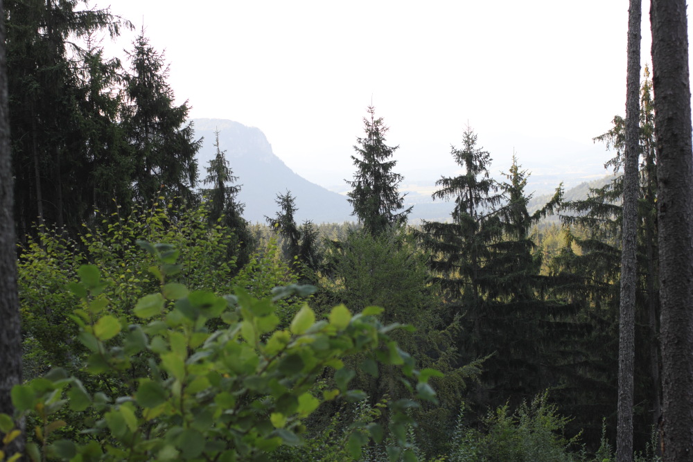 Lokation: Österreich | Kärnten | Wildenstein | Wildenstein Kategorien: Berge, Datum: 20.08.2011