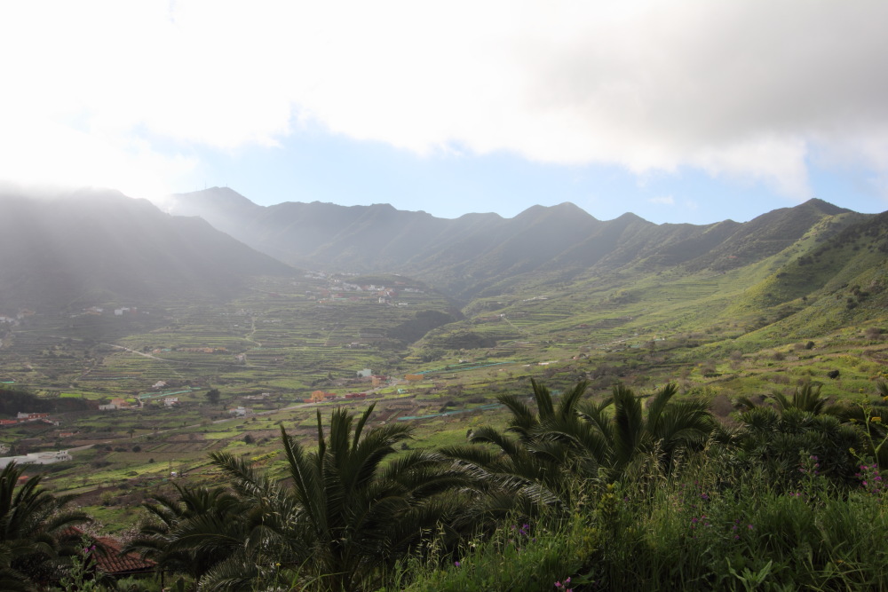 Lokation: Spanien | Canarias | Teno | Teno Kategorien: Berge, Datum: 25.02.2011