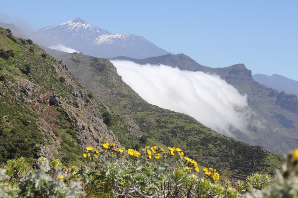 Lokation: Teno, Teno, Canarias, Spanien, Kategorien: Berge, Datum: 26.02.2011