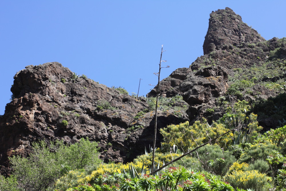 Lokation: Spanien | Canarias | Masca | Masca Kategorien: Berge, Datum: 28.02.2011