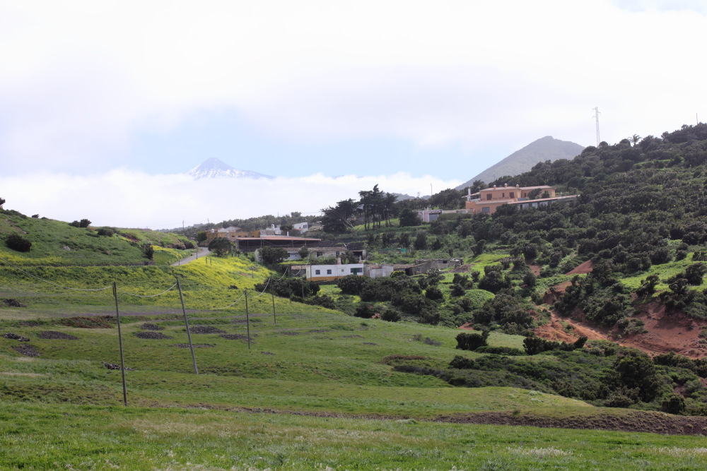 Lokation: Spanien | Canarias | Teno | Buenavista del Norte Kategorien: Dorf, Datum: 01.03.2011