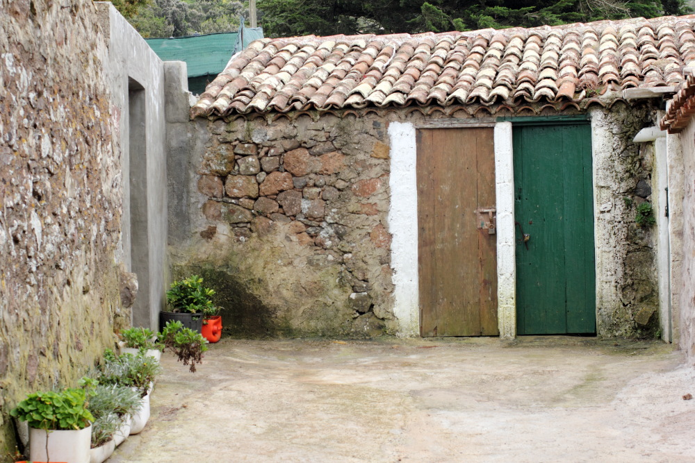 Lokation: Spanien | Canarias | Teno | Teno Kategorien: Dorf, Datum: 01.03.2011