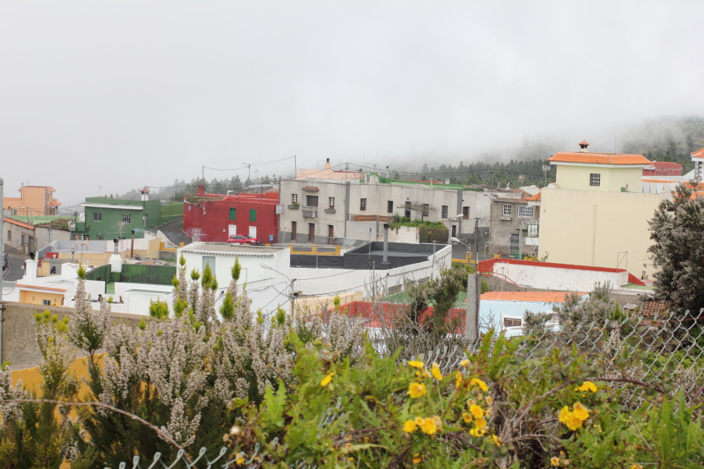 Lokation: Spanien | Canarias | Ruigomez | Los Llanos Kategorien: Dorf, Datum: 05.03.2011