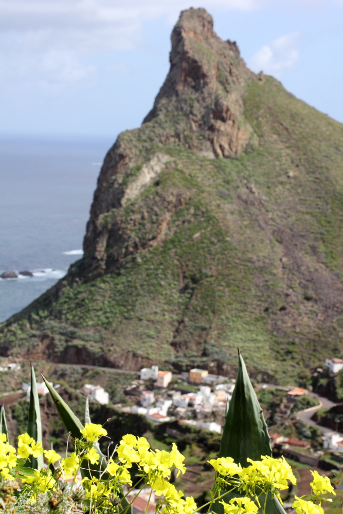 Lokation: Spanien | Canarias | Taganana | Azano Kategorien: Küste, Datum: 08.03.2011