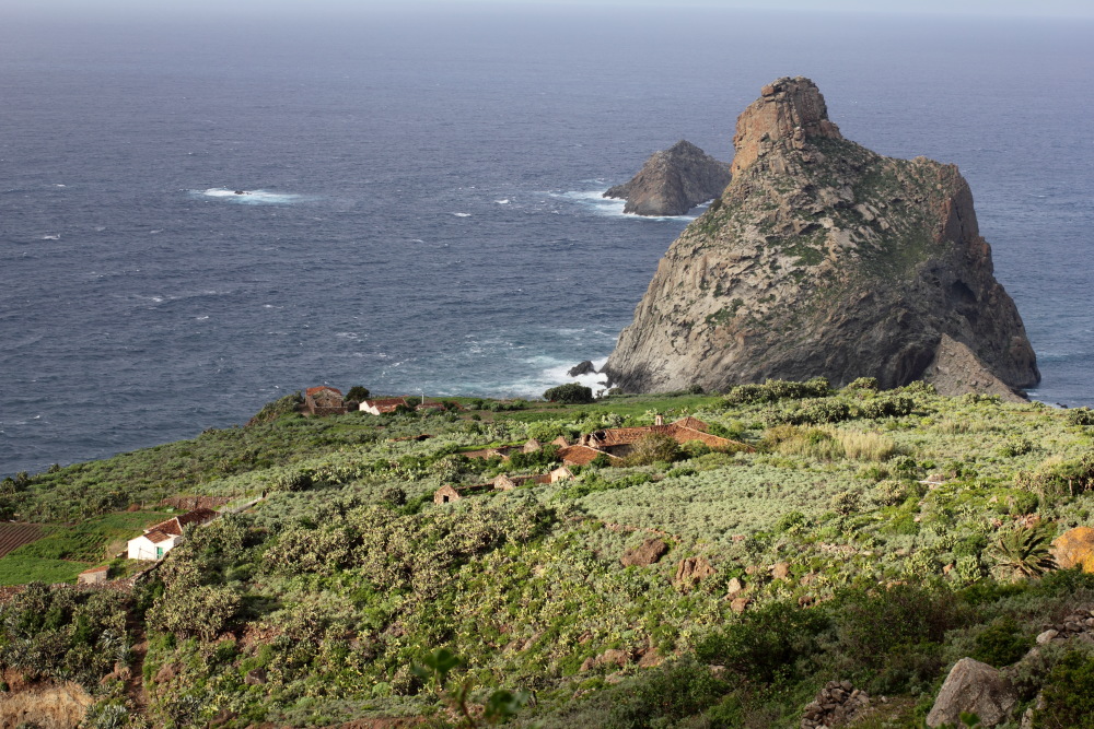 Lokation: Spanien | Canarias | Benijo | El Draguillo Kategorien: Küste, Datum: 08.03.2011