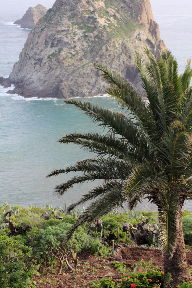 Lokation: Spanien | Canarias | Lomo De Las Bodegas | Las Palmas Kategorien: Küste, Datum: 09.03.2011