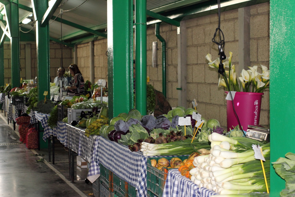 Lokation: Spanien | Canarias | Las Zocas | San Isidro Kategorien: Markt, Datum: 12.03.2011