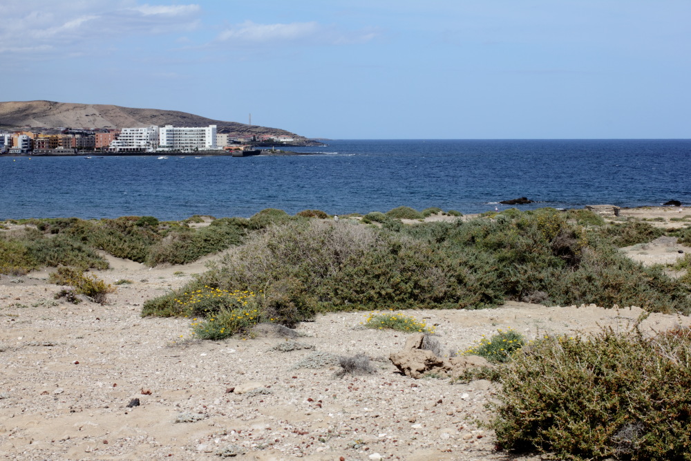 Lokation: Spanien | Canarias | El Medano | El Médano Kategorien: Küste, Datum: 12.03.2011