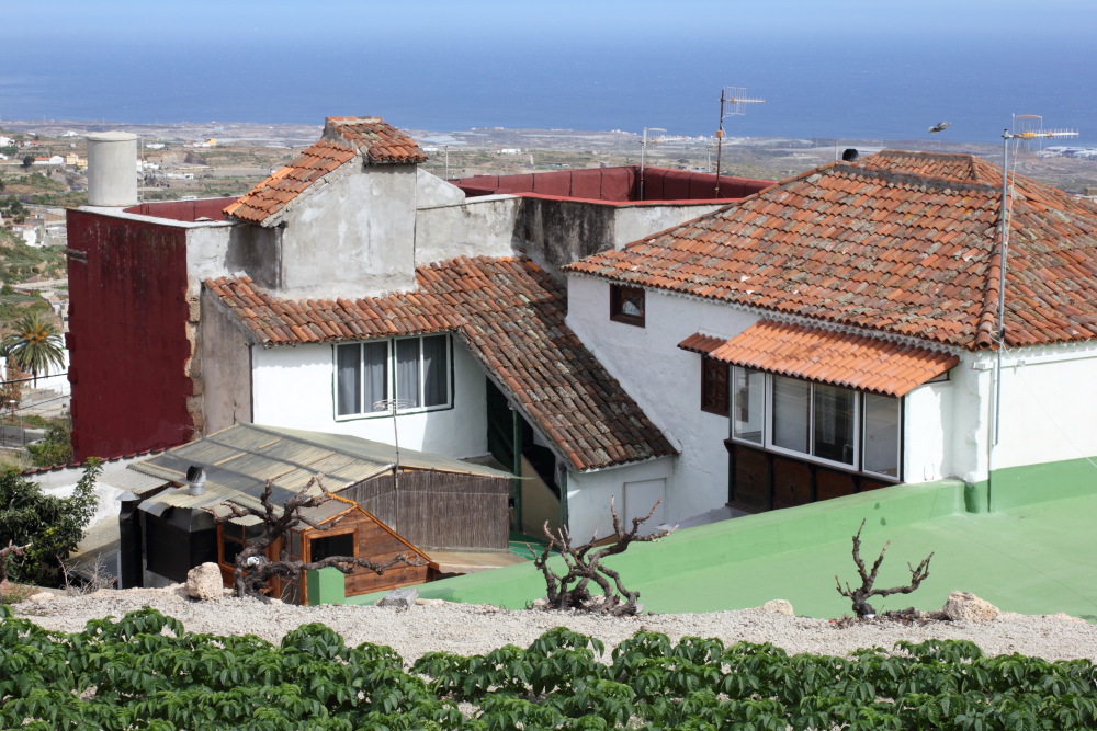 Lokation: Spanien | Canarias | Granadilla | Granadilla de Abona Kategorien: Dorf, Datum: 13.03.2011