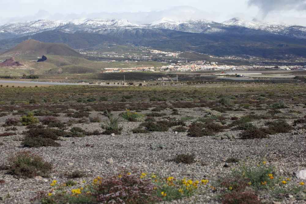 Lokation: Spanien | Canarias | El Medano | El Médano Kategorien: Berge, Datum: 14.03.2011