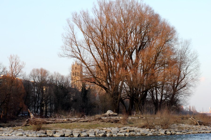 Lokation: Deutschland | Bayern | München | Isarvorstadt Kategorien: Fluss, Datum: 21.03.2013