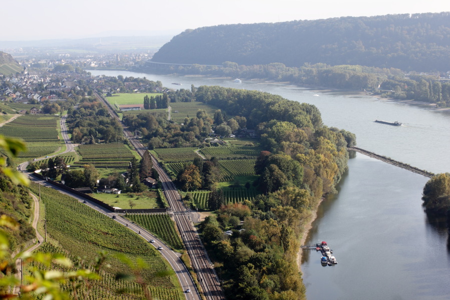Lokation: Deutschland | Rheinland-Pfalz | Hammerstein | Hammerstein Kategorien: Landschaft, Datum: 03.10.2014