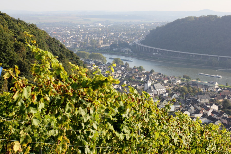 Lokation: Deutschland | Rheinland-Pfalz | Leutesdorf | Leutesdorf Kategorien: Landschaft, Datum: 03.10.2014