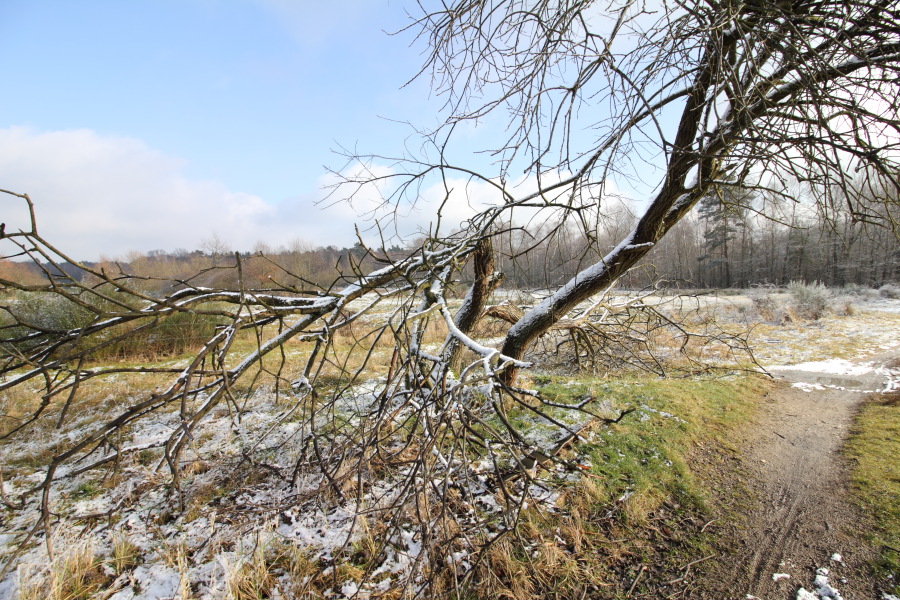Lokation: Deutschland | Nordrhein-Westfalen | Rösrath | Kalmusweier Kategorien: Winter, Datum: 04.02.2015