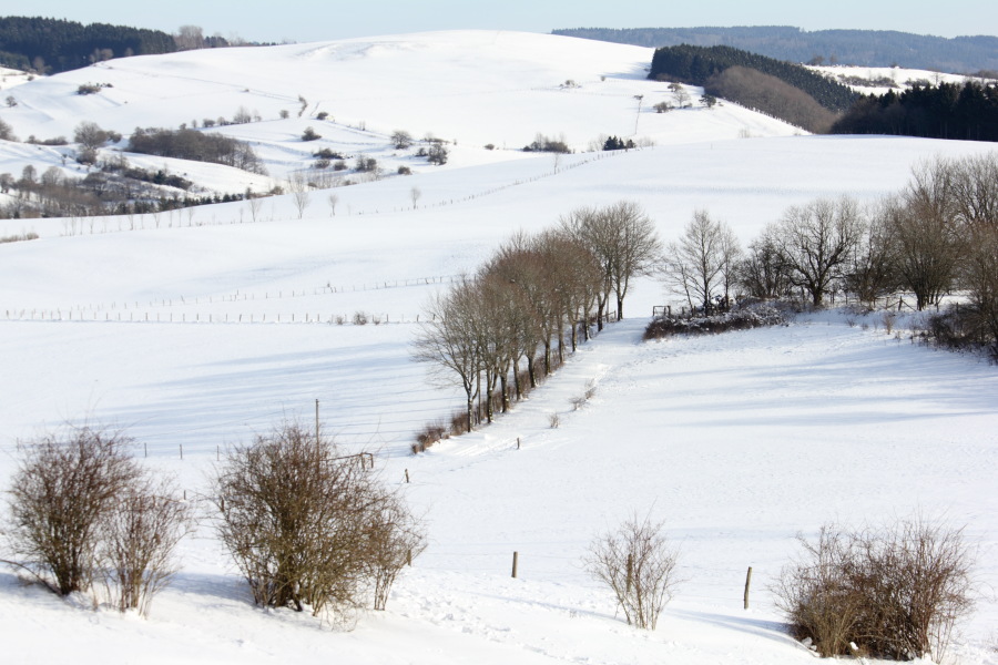 Lokation: Deutschland | Rheinland-Pfalz | Kerschenbach | Baasem Kategorien: Landschaft, Winter, Datum: 07.02.2015