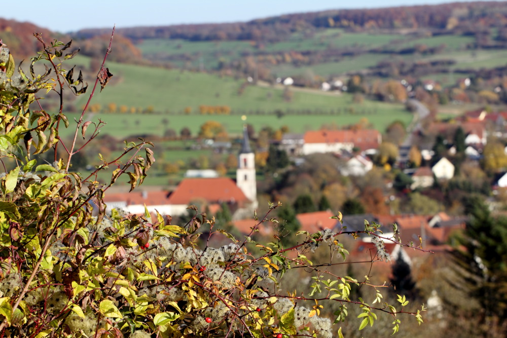 Lokation: Deutschland | Saarland | Gersheim | Gersheim Kategorien: Dorf, Datum: 05.11.2015