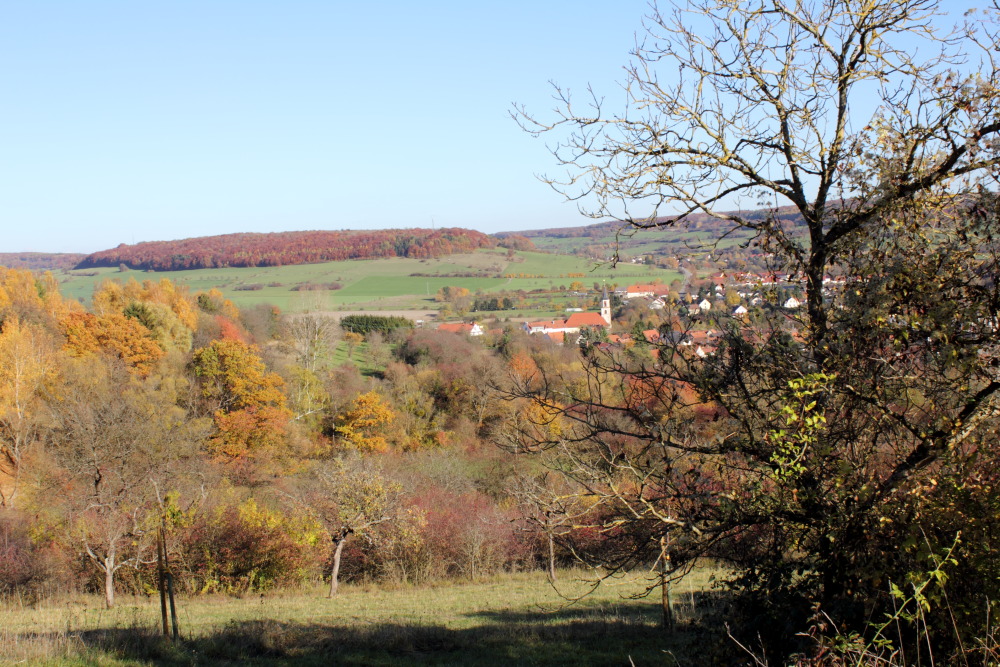 Lokation: Deutschland | Saarland | Gersheim | Gersheim Kategorien: Streuobstwiese, Datum: 05.11.2015