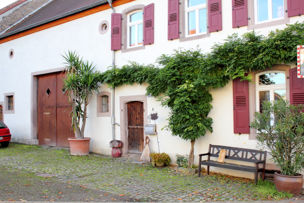 Lokation: Deutschland | Saarland | Mandelbachtal | Wolfersheim Kategorien: Dorf, Datum: 05.11.2015