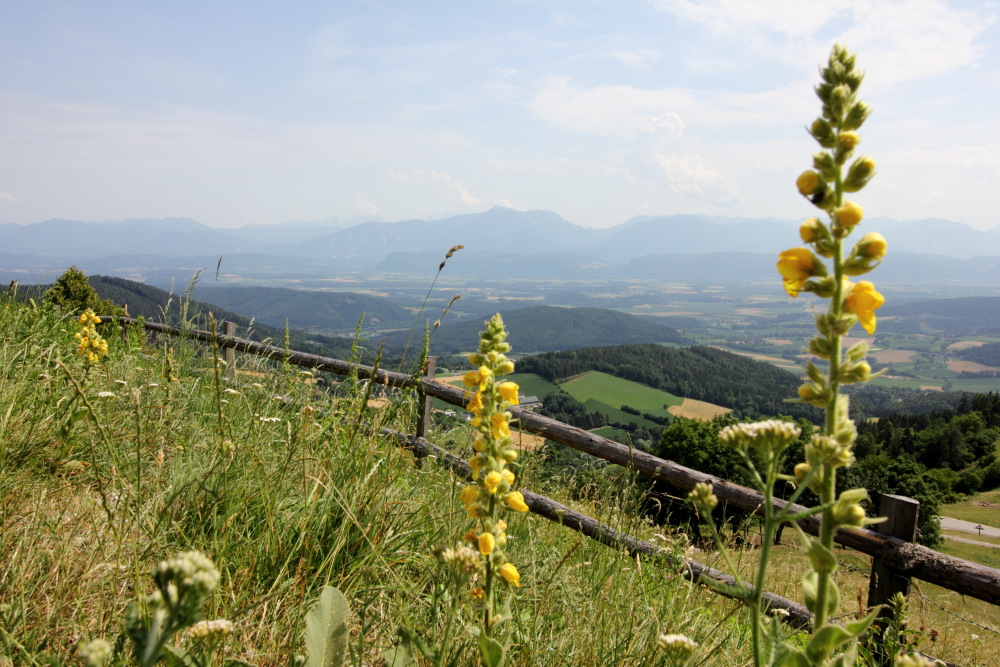 Lokation: Österreich | Kärnten | Gröblach | Gröblach Kategorien: Berge, Datum: 06.07.2015