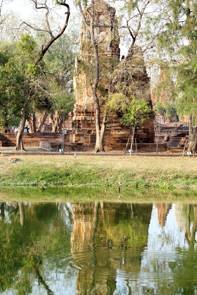 Lokation: Thailand | Phranakhon Si Ayutthaya | Pharnakhon Si Ayutthaya | Ayutthaya Kategorien: See, Tempel, Datum: 05.02.2016